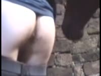 Horse anal sex with gay beastiality lover